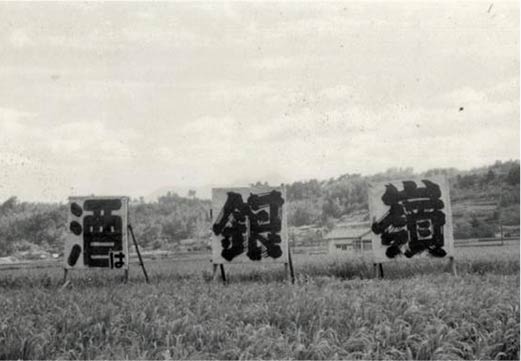 清酒「銀嶺」の酒米栽培地のspイメージ